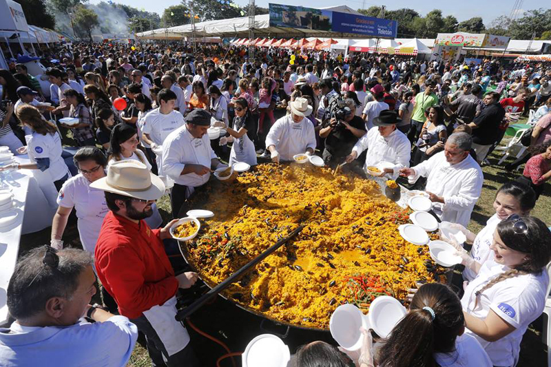 teleton 2013