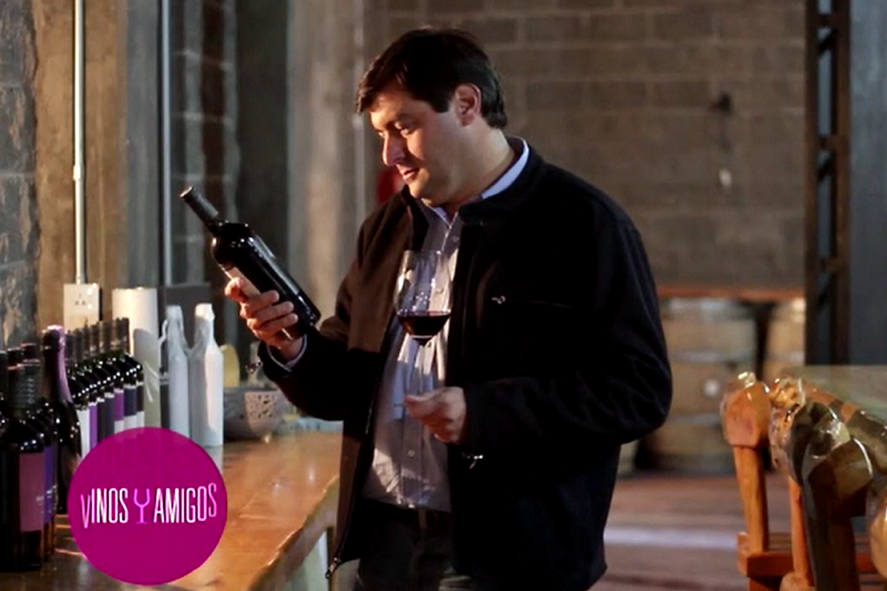 Vinos y amigos