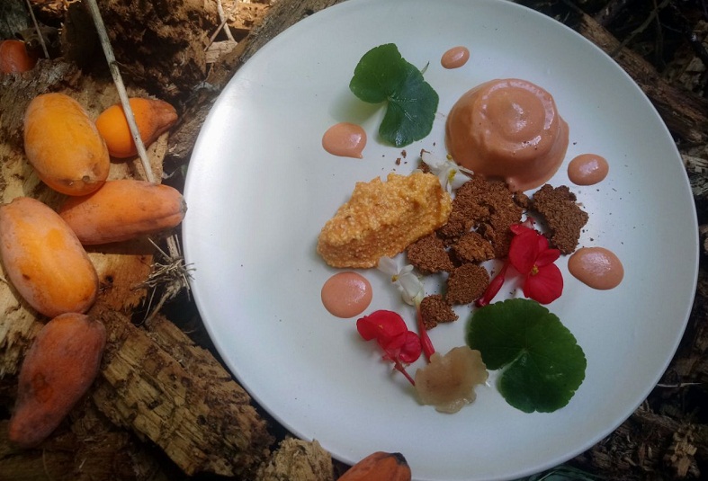 Plato hecho exclusivamente con frutas y hierbas de la selva guaraní. Hongos y una fruta denominada yacaratia, que aparece al costado.