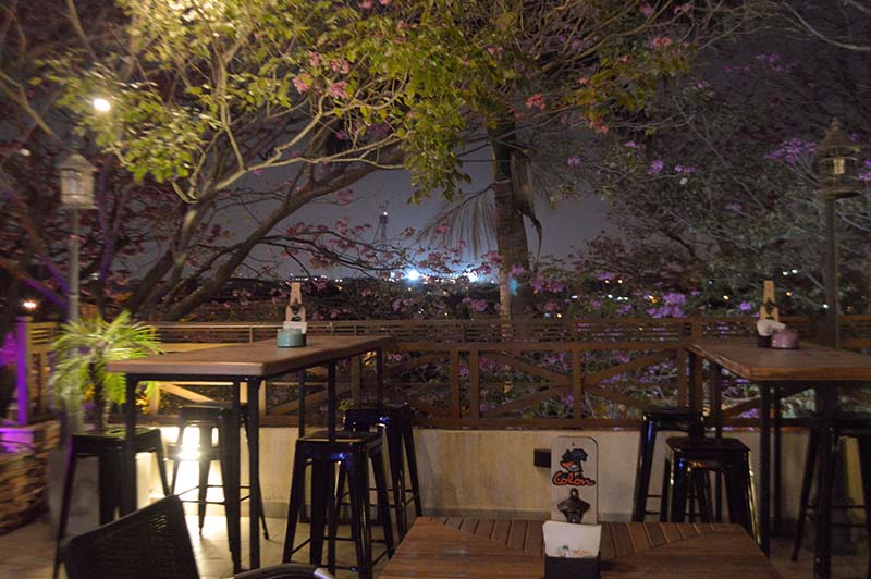 Un aspecto de la terraza del tercer nivel. Allí generalmente concurren los más jóvenes, en medio de las copas de los tajis florecidos. A lo lejos, las luces de la nueva olla azulgrana.