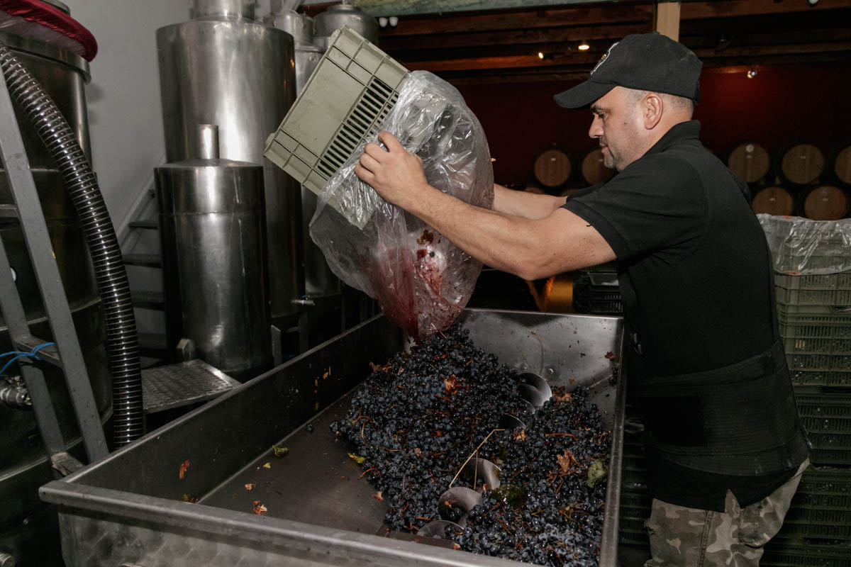BodegaGacometti_elomnivoro6